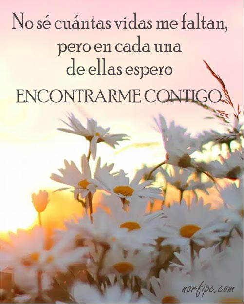 No sé cuántas vidas me faltan, pero en cada una de ellas espero encontrarme contigo. #ConfesionesAmor Cada vida contigo