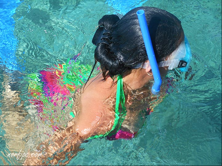 Nadando con peces en la Caleta de los Peces en Caleta Buena