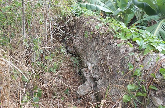 Canal en la parte superior del muro del Ingenio Alejandría