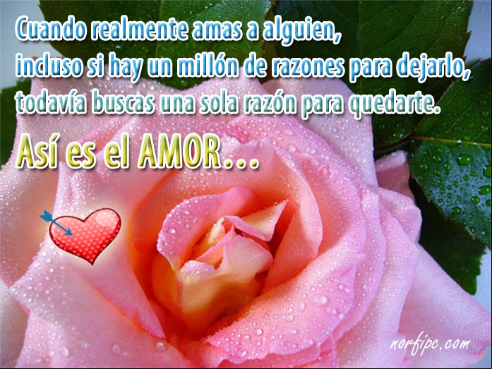 Poema sobre el amor verdadero y como tratamos de conservarlo