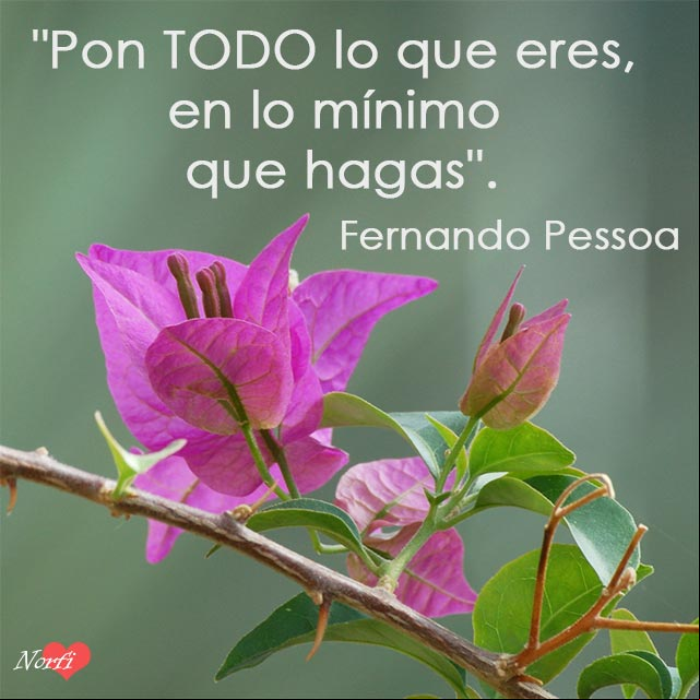 Pon todo lo que eres, en lo mínimo que hagas. Cita de Fernando Pessoa Pon todo lo que eres, en lo mínimo que hagas. Cita de Fernando Pessoa