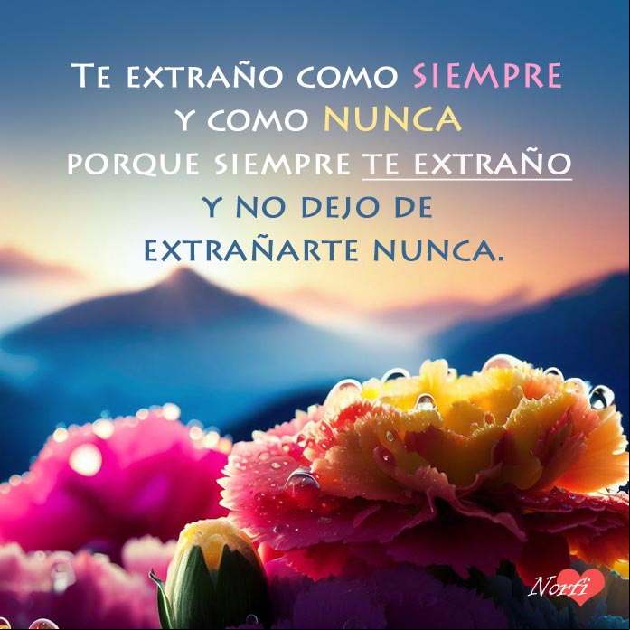 Te extraño como SIEMPRE y como NUNCA, porque siempre te extraño y no dejo de extrañarte nunca. Flores en el atardecer