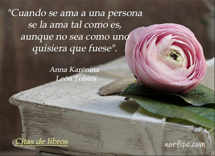 Cuando se ama a una persona se la ama tal como es, aunque no sea como uno quisiera que fuese