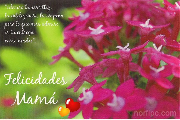Madre iro tu sencillez, tu inteligencia, tu empeño, pero lo que más iro es tu entrega como Madre. Gracias por todo y Felicidades. #DiaMadre Madre iro tu sencillez, tu inteligencia, tu empeño, pero lo que más iro es tu entrega como Madre
