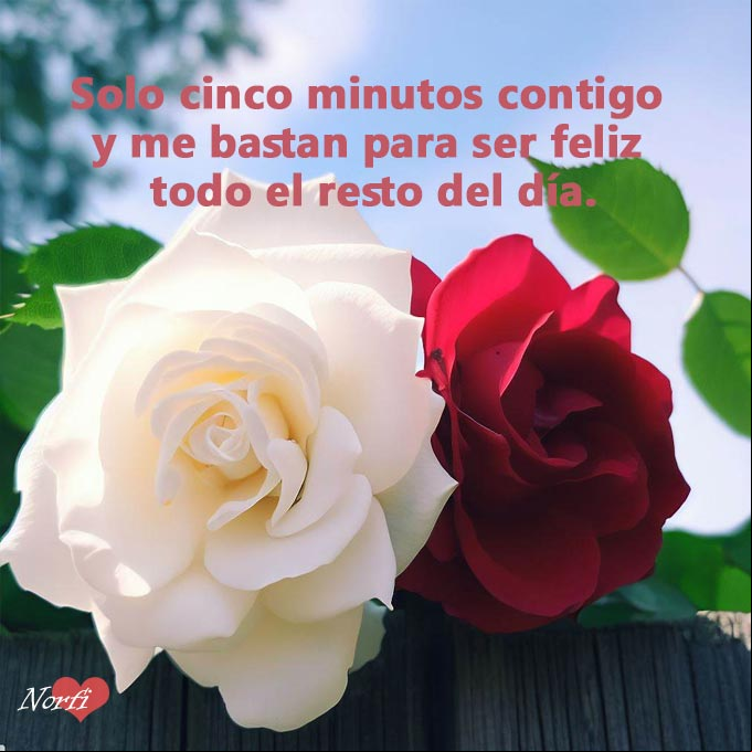 Solo cinco minutos contigo y me bastan para ser feliz todo el resto del día Dos rosas juntas