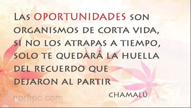 Mensaje inspirador, positivo de Chamalú