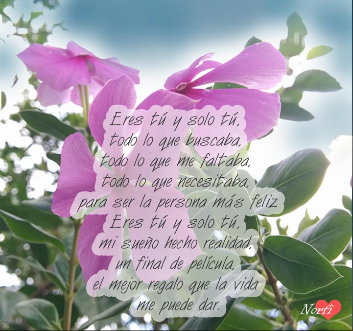 Eres tú y solo tú, el mejor regalo que la vida me puede dar