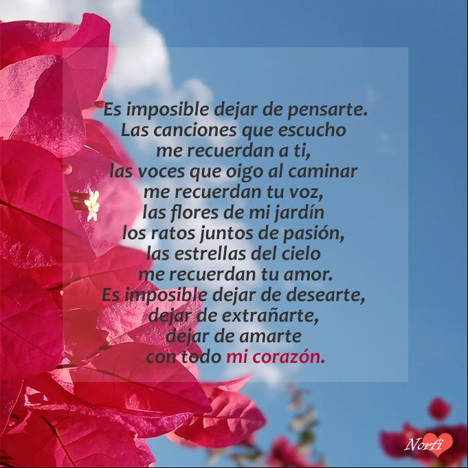 Es imposible dejar de desearte, poema Poema de amor: Es imposible dejar de pensarte, dejar de desearte, dejar de extrañarte, dejar de amarte con todo mi corazón