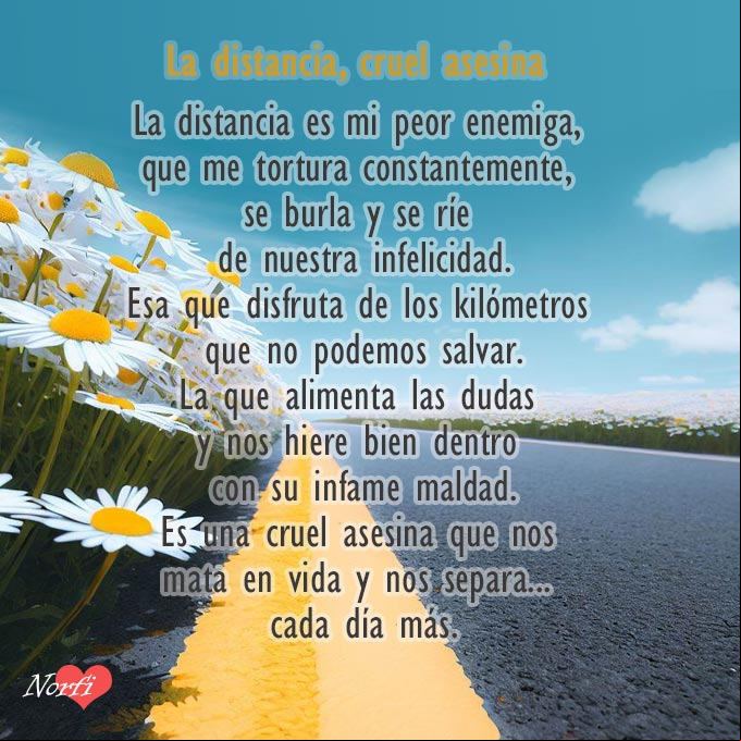 Carretera con flores margaritas a un lado