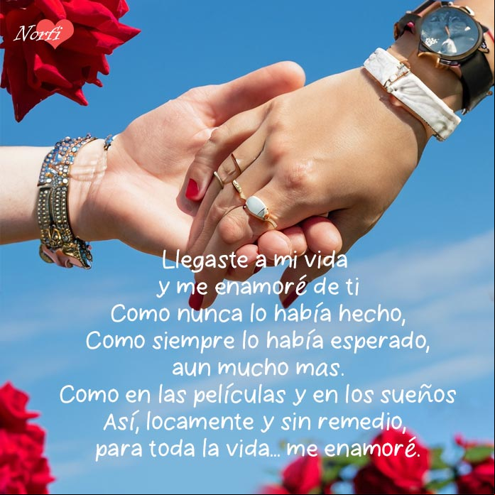 Manos de un hombre y una mujer entrelazadas, detrás rosas y cielo azul