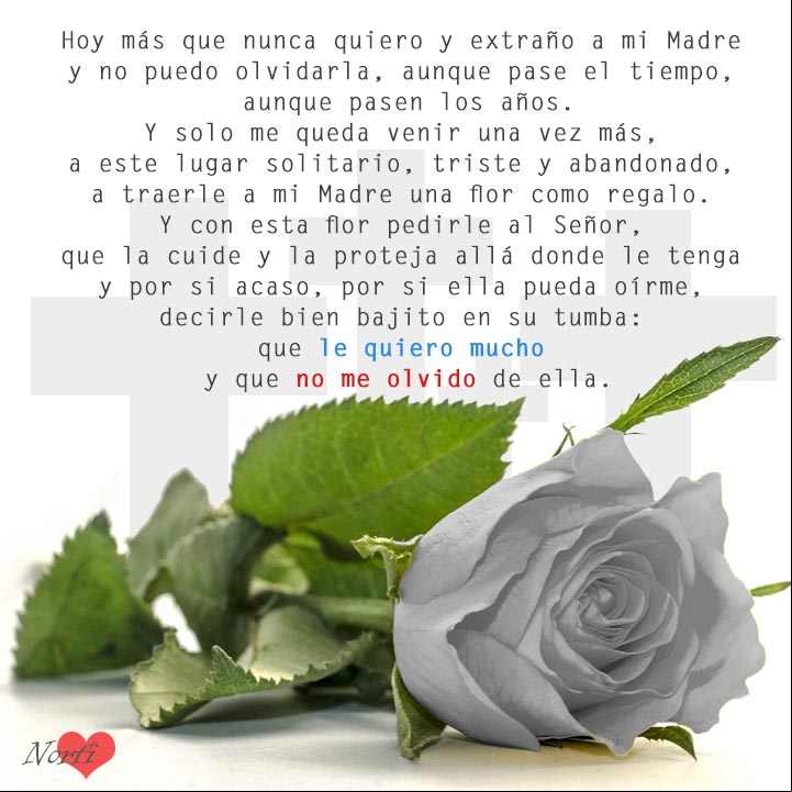 Madre te quiero y nunca te olvido