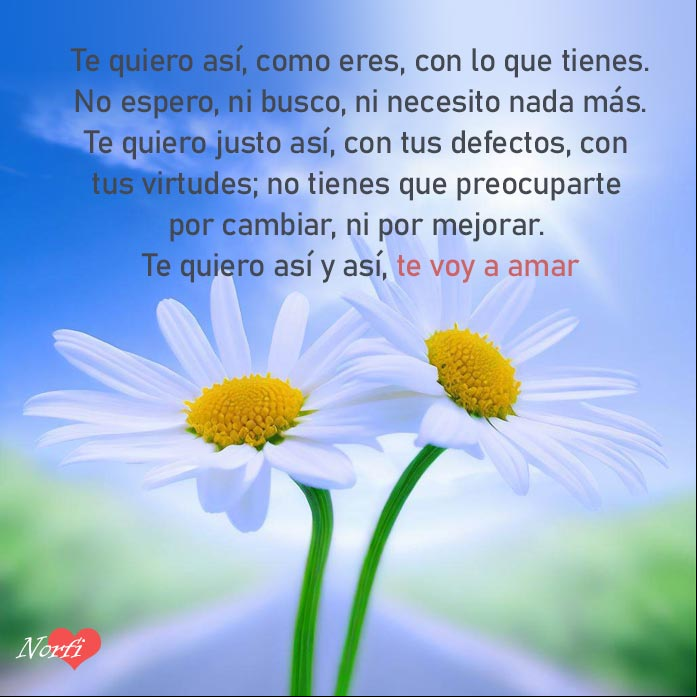 Dos flores de margaritas en una carretera bajo el cielo azul