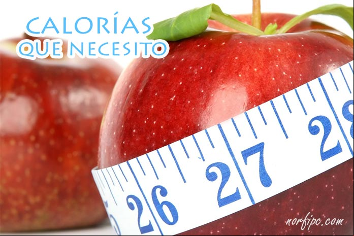 Calorías que necesito para mantener mi peso, adelgazar o engordar
